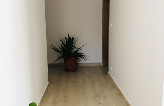 Sunu Keur Yoff - Photo 2