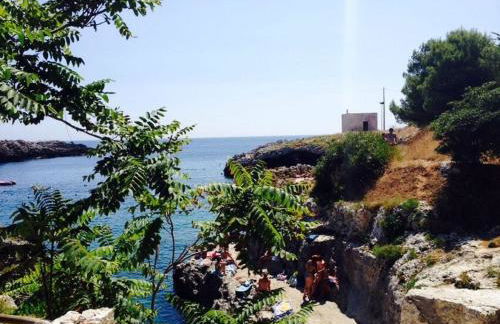 Azienda Agrituristica B&B La Torre - Photo 30