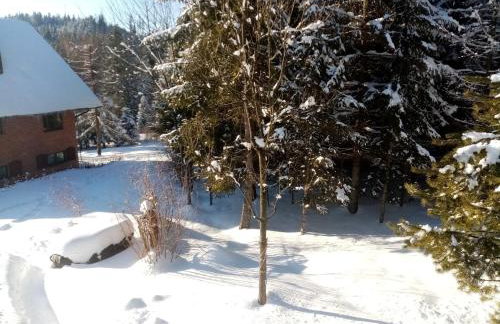 Górski Zakątek z kominkiem i tarasem - Foto 43