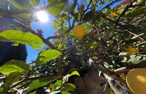 Villa Lluna - Foto 71