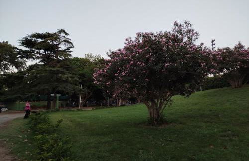 Messina Skyline - Foto 30
