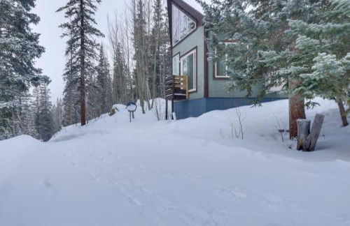 Mountain Cabin 15 Mi to Breckenridge Ski Resort! - Foto 19