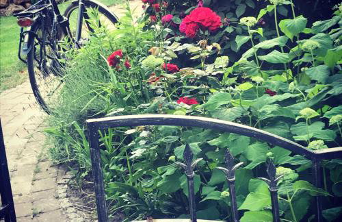 Spechtstraße 65 Ferienwohnung - Foto 16