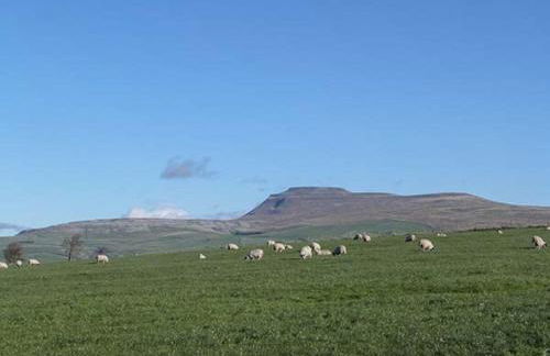 Old Hall Cottage - Foto 14