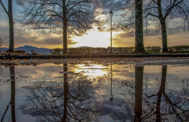 Apartment in Poppi With Shared Pool - Foto 38