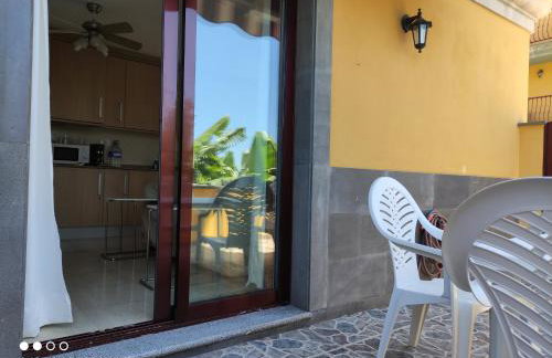 Palma Tellus - Foto 21