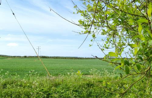 The Dairy - Uk48756 - Foto 18