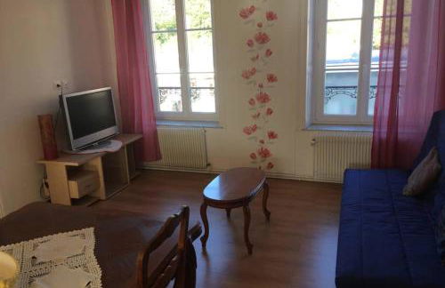 Appartement tout confort centre Baccarat - Photo 4