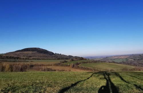 Altstadt-Domizil - Foto 18