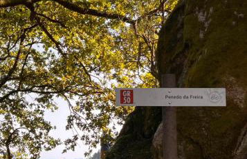 Refúgio do Vidoeiro - Foto 12