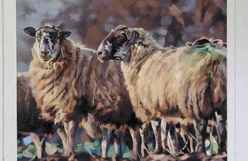 Kenny’s Hut - Foto 27