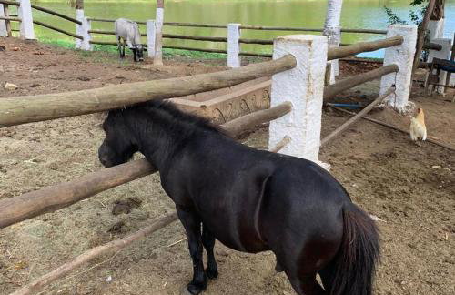 Casa Porto Fiore - Foto 15