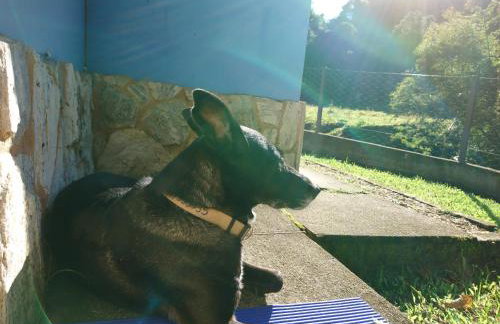 Casa do Artista - Foto 26