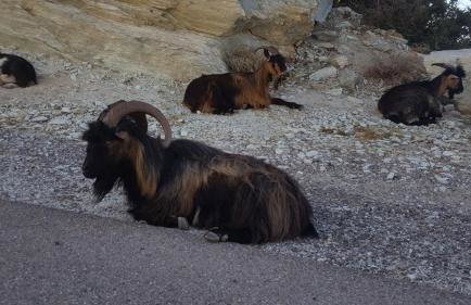 Villa Acqua Doria - Photo 59