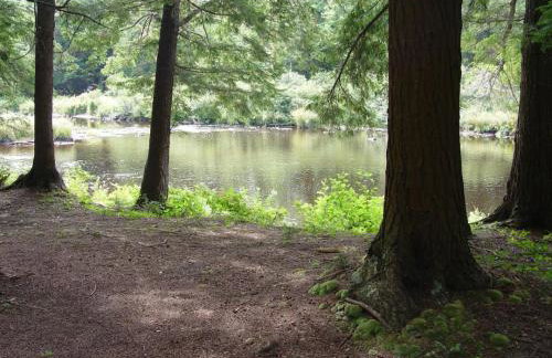 Riverside Cabin - Foto 36