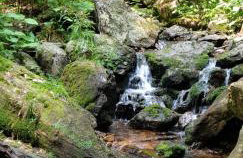 Apartment am Nationalpark Bayerwald - Foto 34