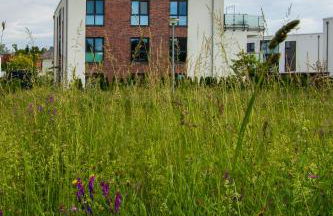 Penthouse-Ferienwohnung Wolfsburg mit Dachterrasse WLAN Smart-TV überdachter Parkplatz Wallbox - Foto 47