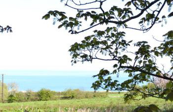 Rustic hideaway between Aberporth & Tresaith - Foto 10