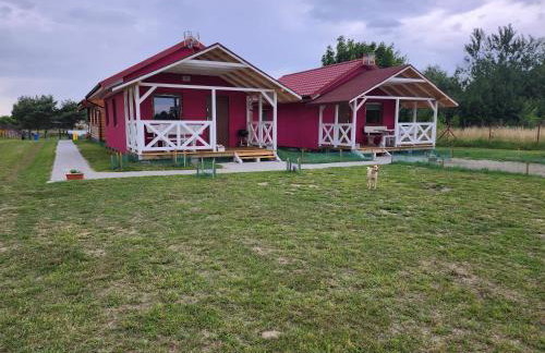 Domki Letniskowe U Żuni - Foto 27