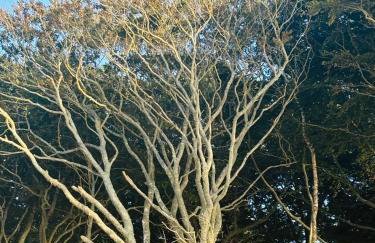 Apartamenty nad morzem Przy Klifie 2 Dębina - Foto 70