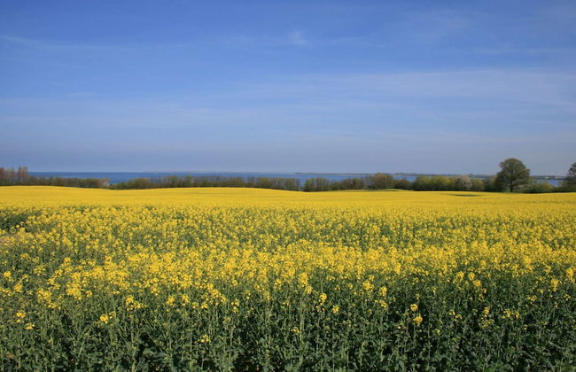Lavish Apartment in Klütz near Beach - Foto 18