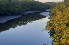 casa no paraíso do Capri - Foto 42