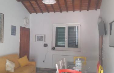 Fico d'india - Foto 2