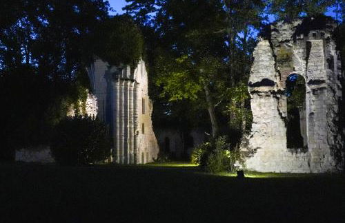 Château du Loroux - Photo 41