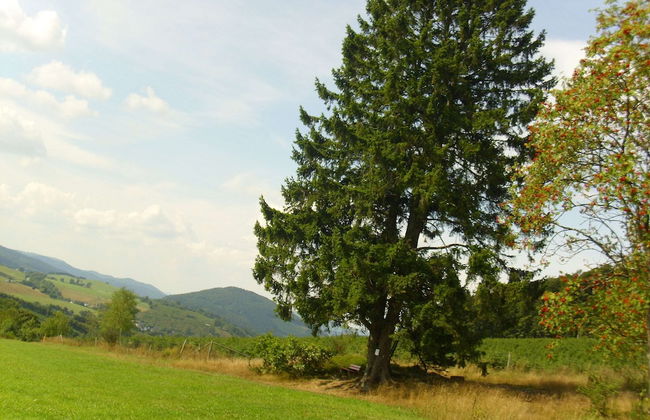 Charming Apartment With Balcony, Garden, BBQ, Parking, Heating - Foto 38