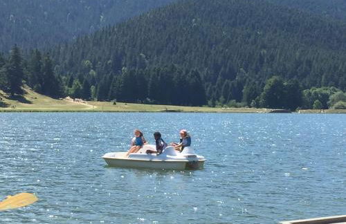 Gîte chaleureux au lac de Payolle - Foto 26