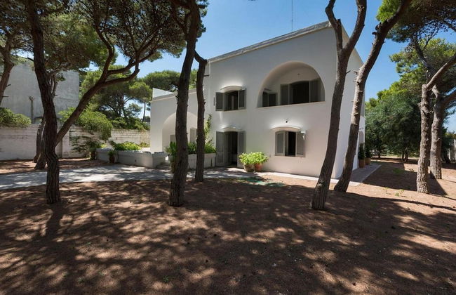 1675 Masseria Villa in Torre Specchia Ruggeri - Foto 37