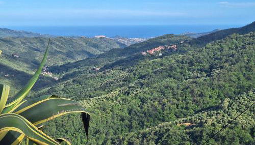 La Casa delle Meraviglie - Foto 2