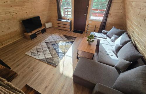 Domki Bory Tucholskie - Kurs na wypoczynek - Foto 40