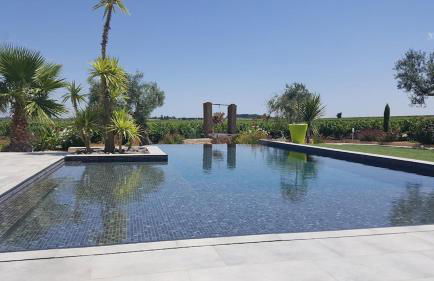 Villa contemporaine avec piscine à débordement dans un domaine viticole - Foto 18