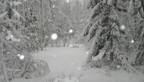 River Dance Retreat - Meredith Lodging - Foto 3