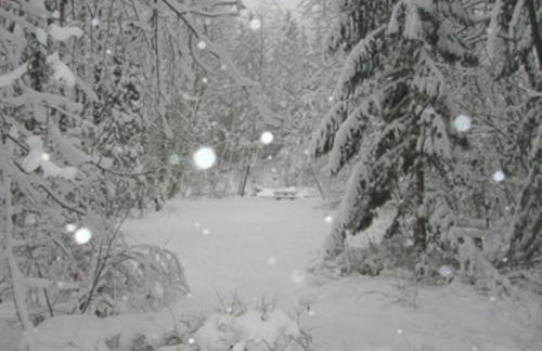 River Dance Retreat - Meredith Lodging - Foto 3