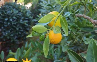 Villa Androcec - Foto 4