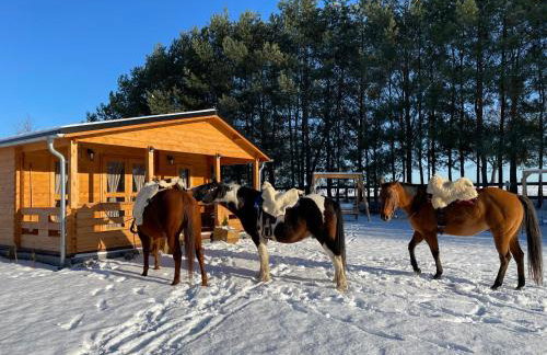 JZ Guest Ranch - Foto 20