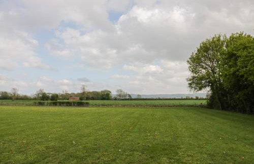 Alstroemeria - Photo 23