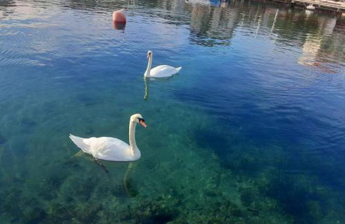 Sunshine Place by the beach - Photo 8