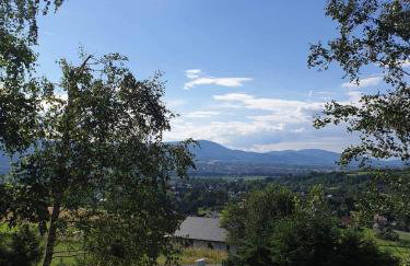 Świerkowy Zakątek u Bacy - Foto 7