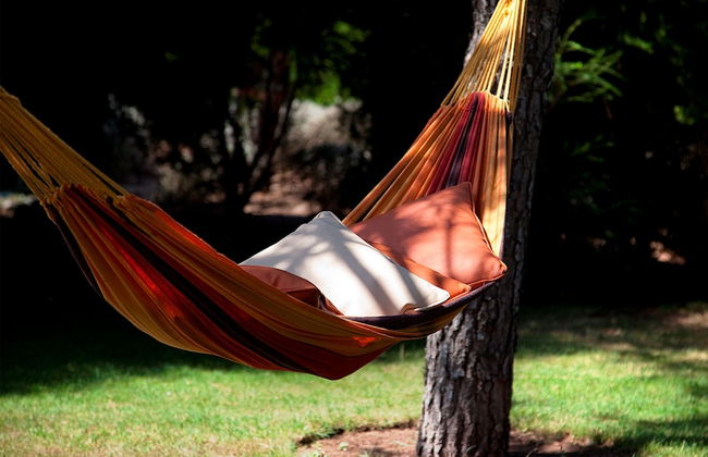 MS Aparthotel - Foto 76