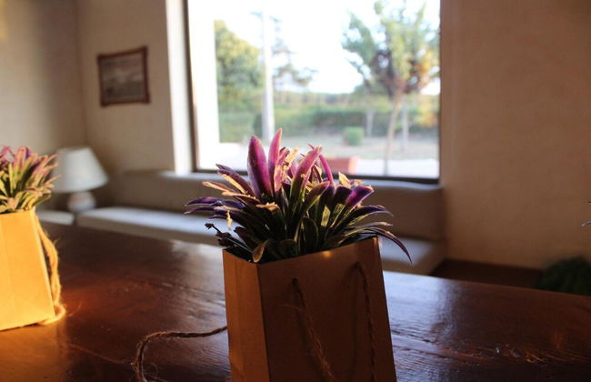 Masseria Chinunno - Foto 45