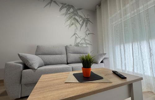 Apartamentos Turisticos Peregrin Palas - Foto 34