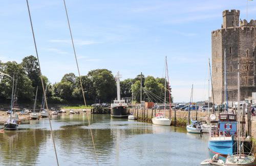 Llety Pen Deitsh 2 - Foto 37