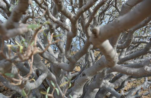 THE TEIDES WINDOW swimming pool LA VENTANA DEL TEIDE - Foto 66