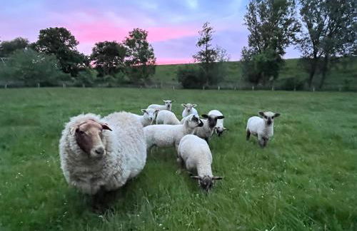 Reetkate Kaltenhoern - Foto 21