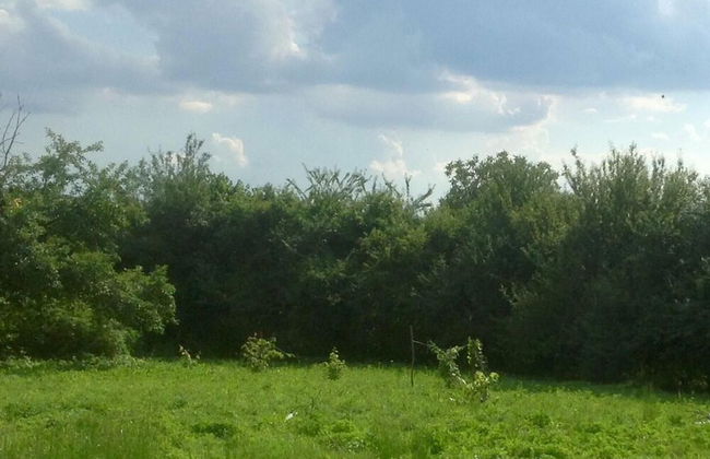 Stunning 3-bed Villa in the Small Village - Photo 10