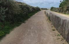 RACINES MARINES - Foto 27