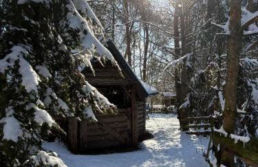 Agroturystyka Traperska Osada - Foto 38